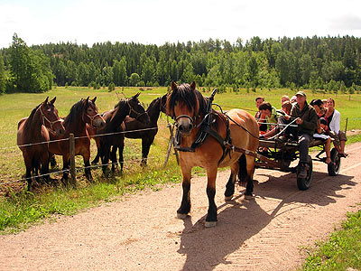 Arbetshäst som drar en vagn